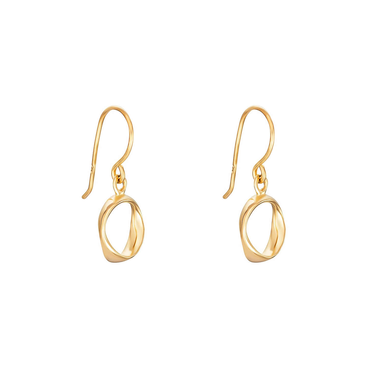 Circle Drop Hook Earrings